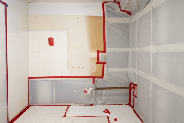 Best Commercial Mold Inspection  in Gberts, IL