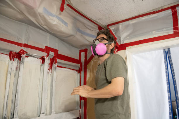 Professional Mold Inspection, Removal & Remediation in Gilberts, IL