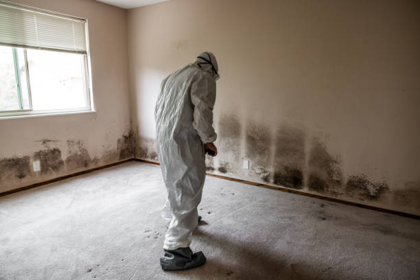 Best Mold Remediation for Healthcare Facilities  in Gberts, IL